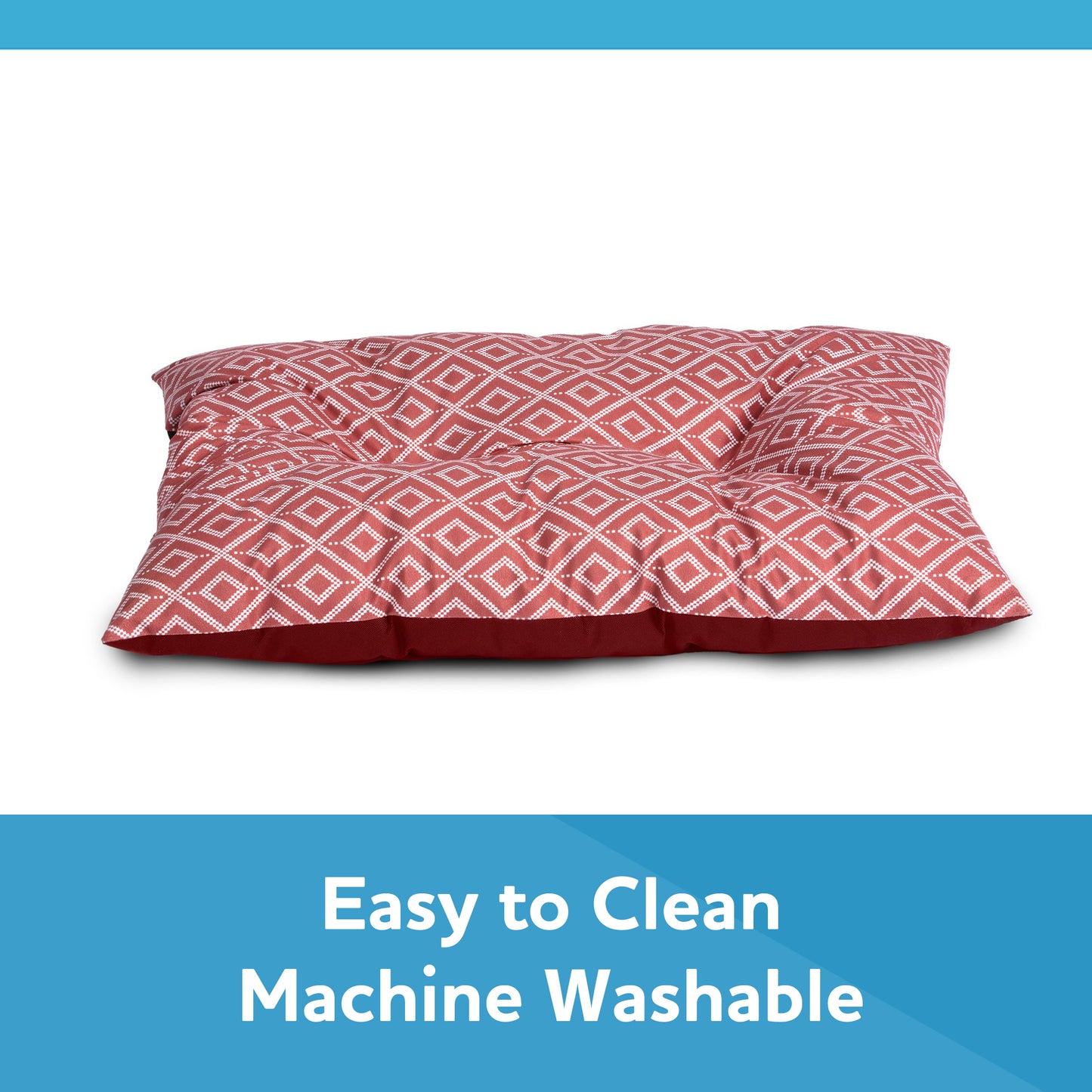 DONATE $50 AND GET A PET BED AND KITTY LITTER AS A BONUS!