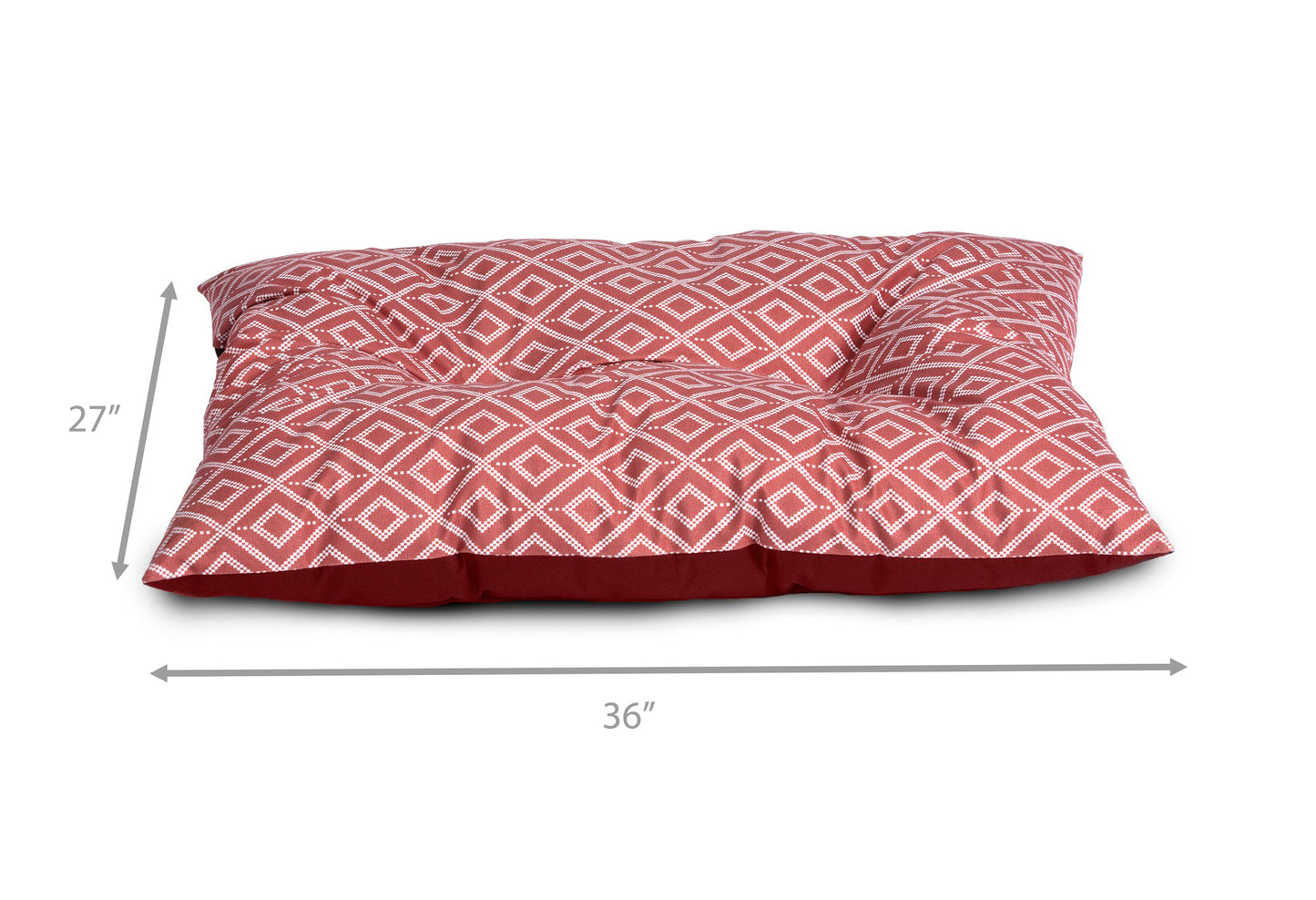 DONATE $50 AND GET A PET BED AND KITTY LITTER AS A BONUS!