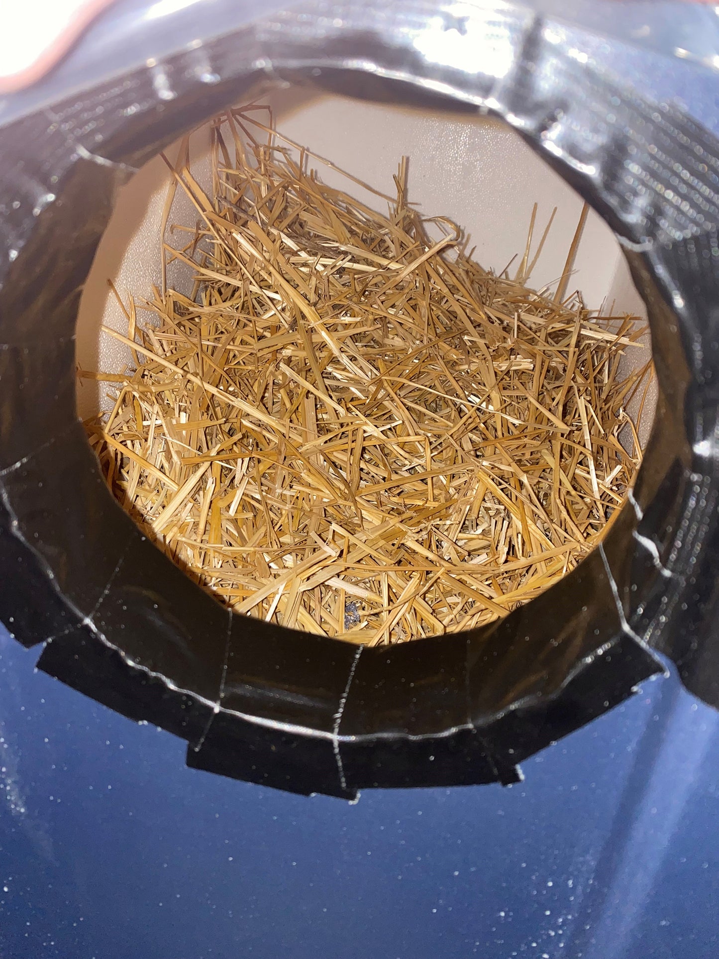 Homeless cat shelter(s) - pick up in Wabash or Marion