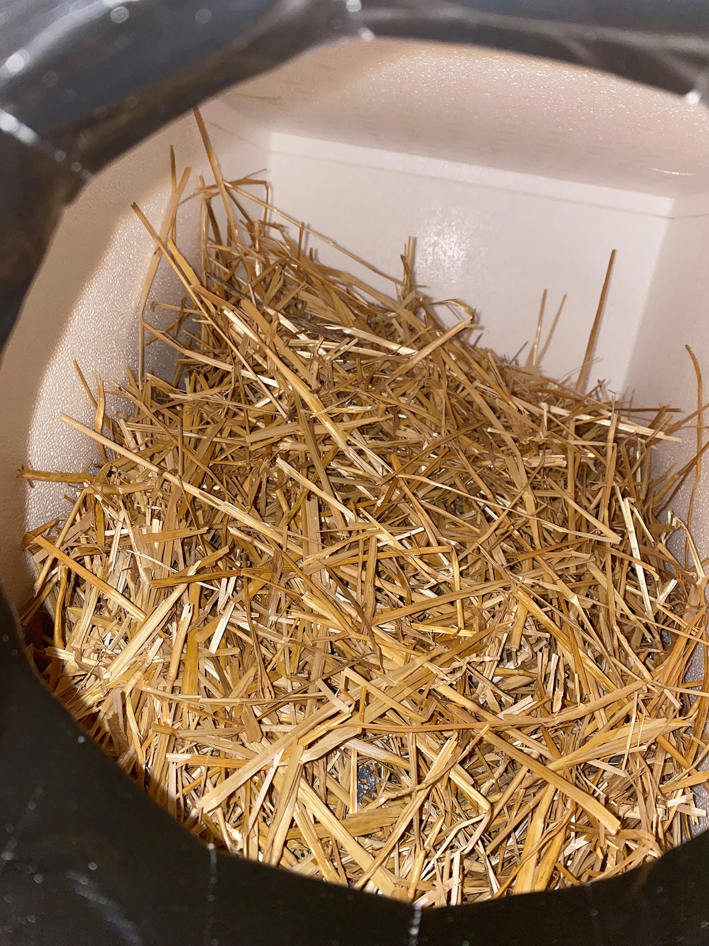 Homeless cat shelter(s) - pick up in Wabash or Marion