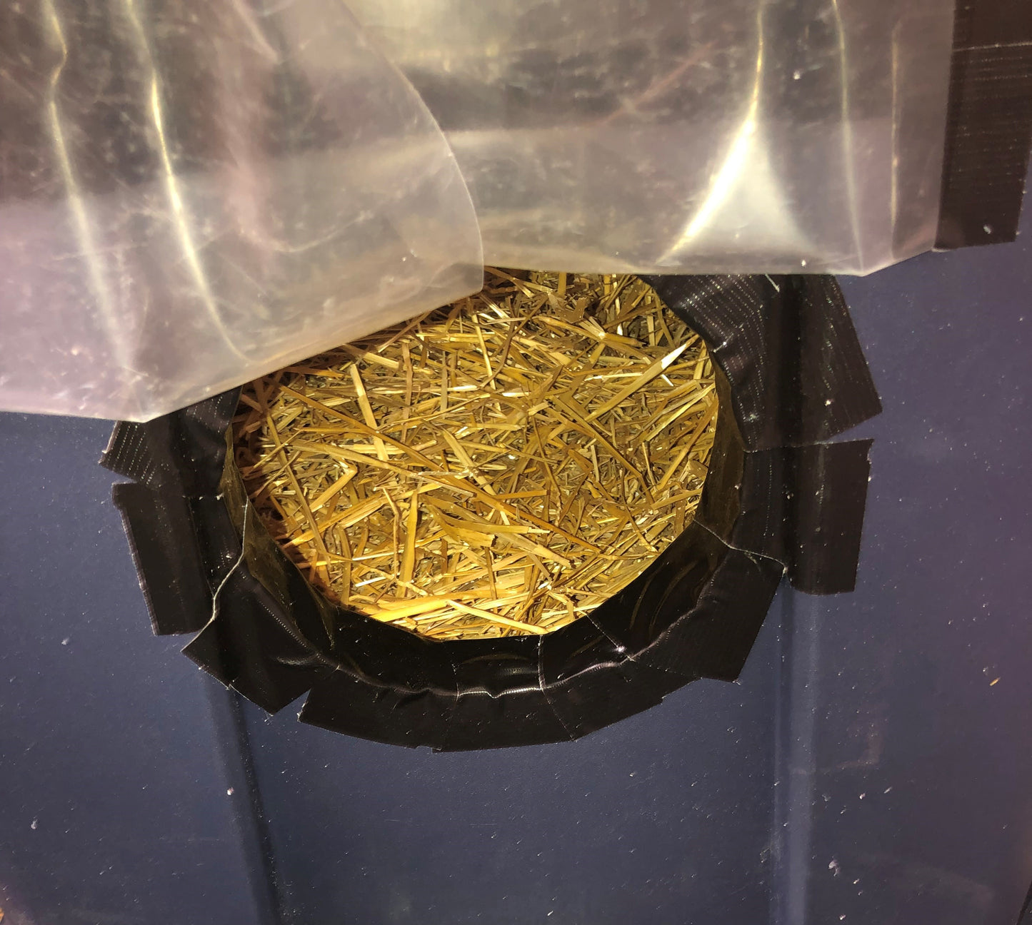 Homeless cat shelter(s) - pick up in Wabash or Marion