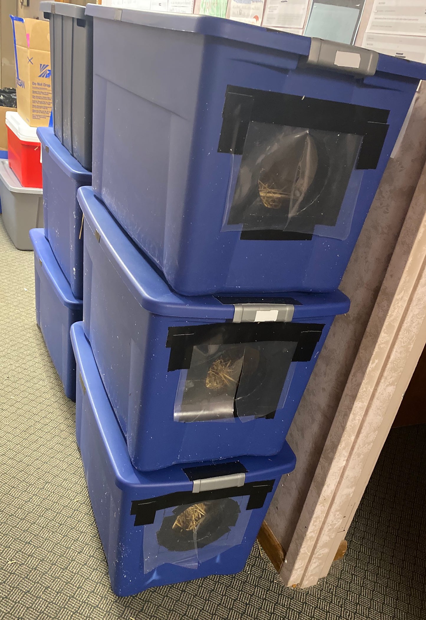 Homeless cat shelter(s) - pick up in Wabash or Marion