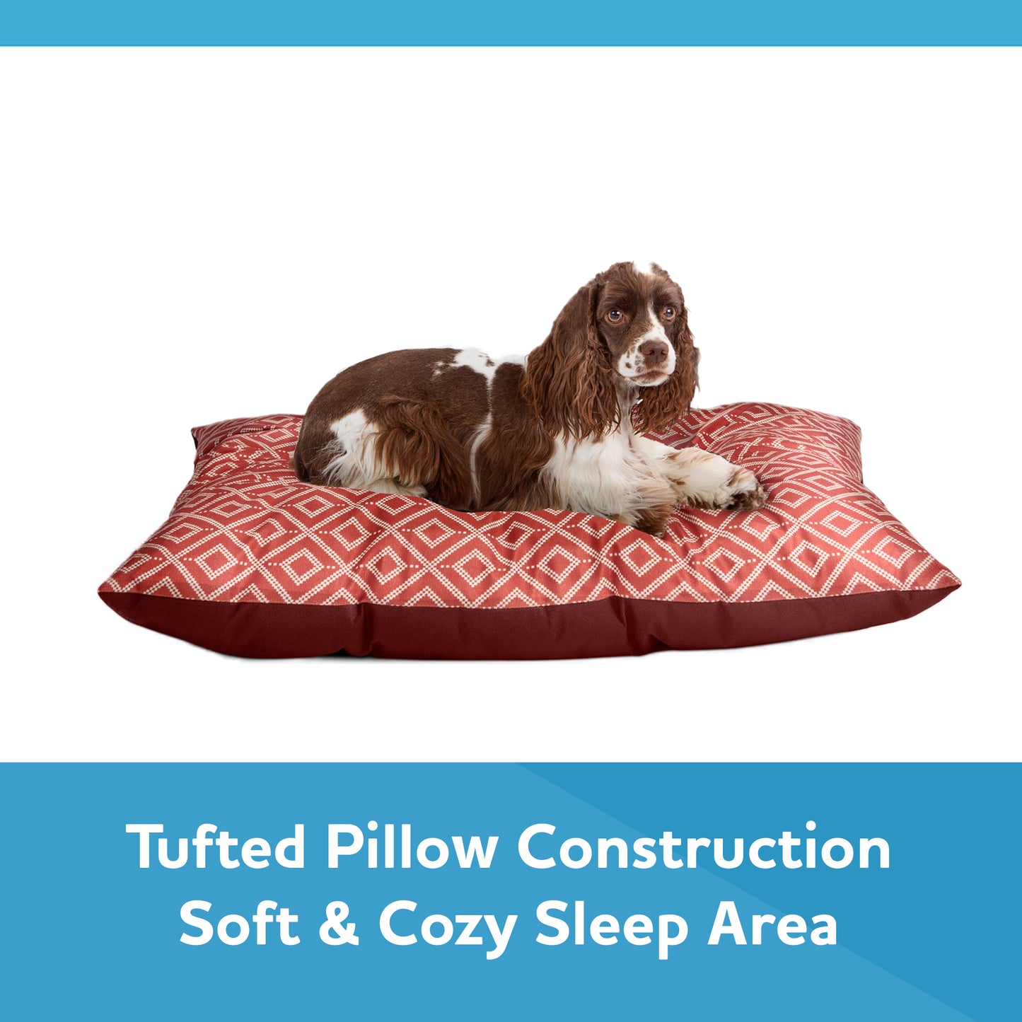 DONATE $50 AND GET A PET BED AND KITTY LITTER AS A BONUS!