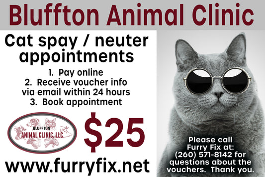 Bluffton Animal Clinic - LIMIT 1 PER CUSTOMER - $25 voucher for one cat spay / neuter - valid for 60 days