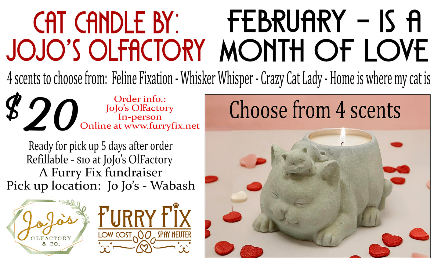 Cat candle! So awesome! Fundraiser for Furry Fix - ready in 5 days - pick up in Wabash.